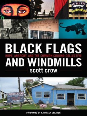 cover image of Black Flags and Windmills